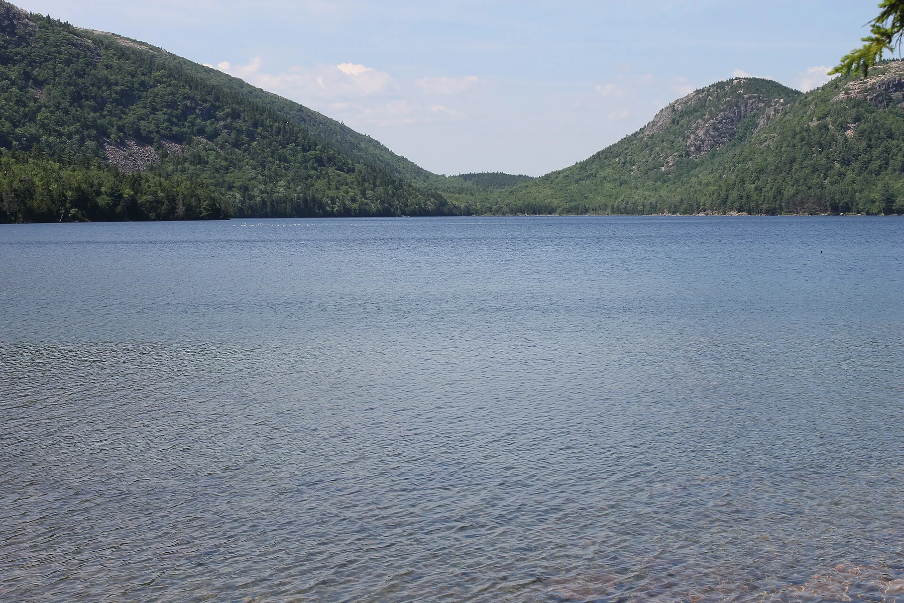 Jordan Pond shoreline with wooded hills beyond the water