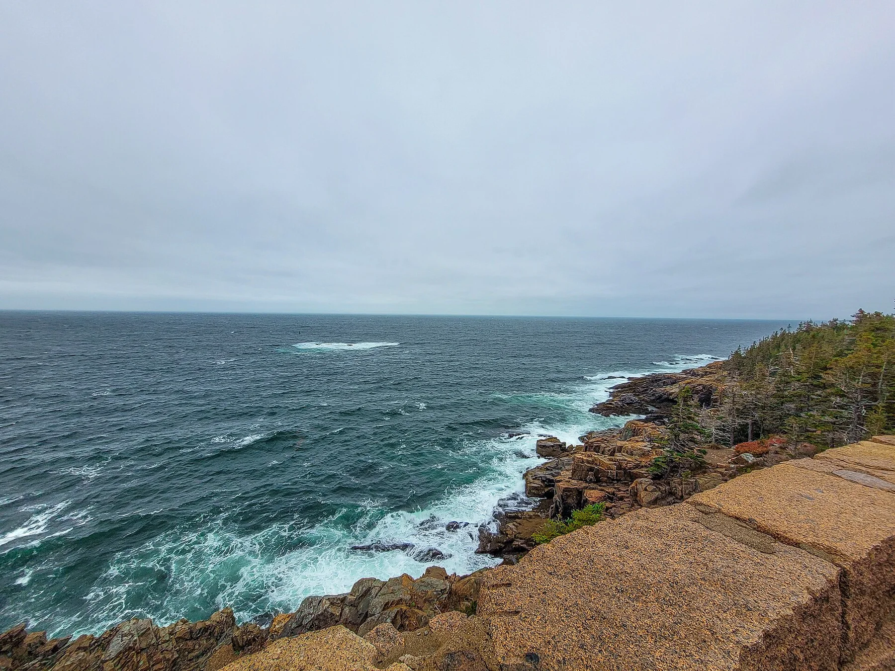 Ocean Path following Acadia's granite shoreline above the Atlantic