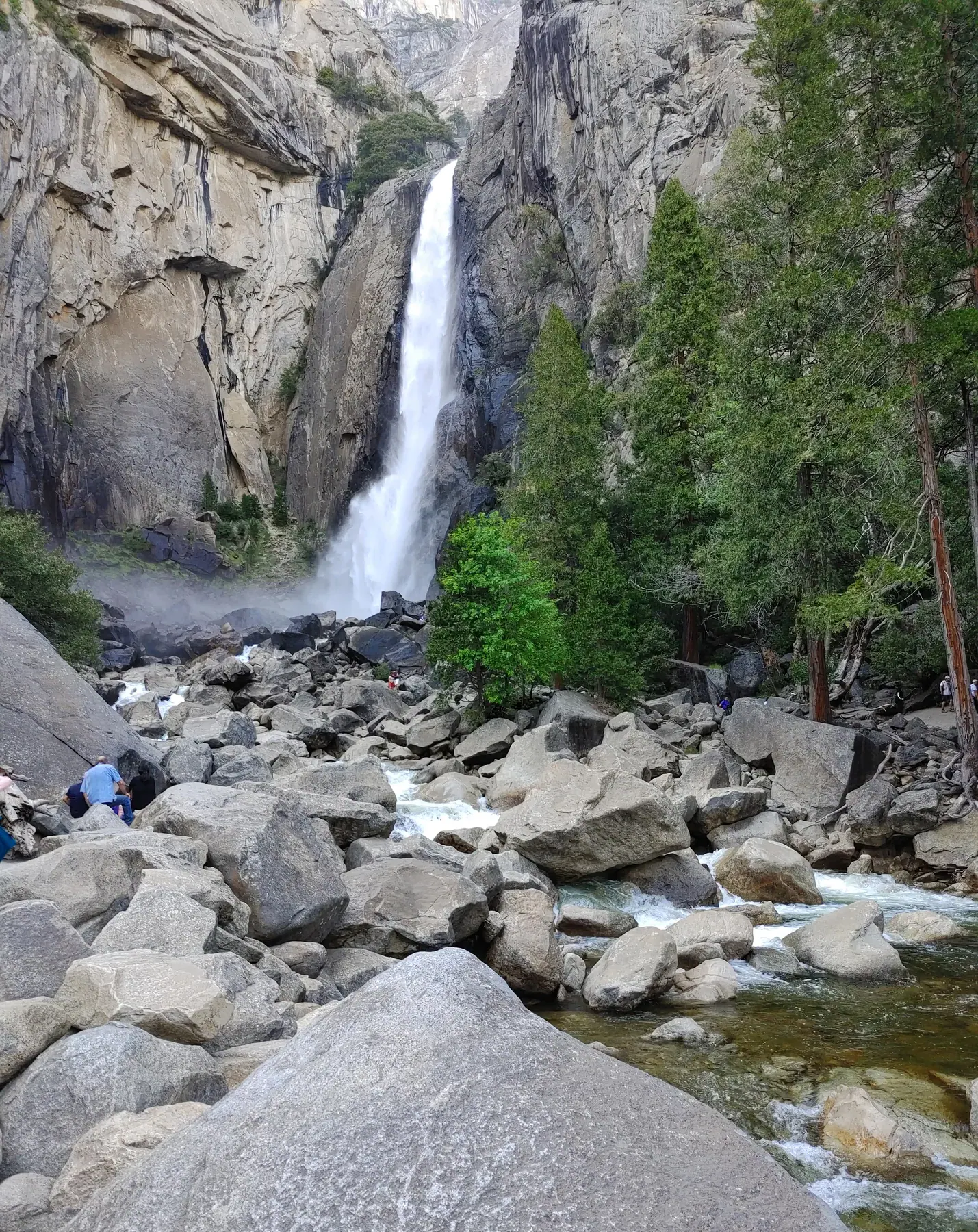 Upper and Lower Yosemite Falls rising above the forested valley