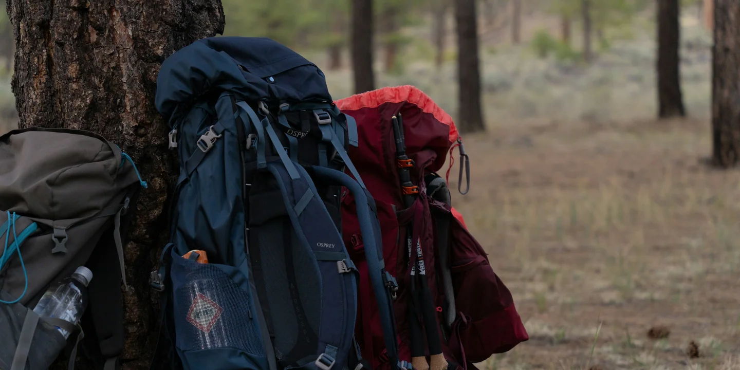 Two loaded backpacking packs resting together beside a forest trail