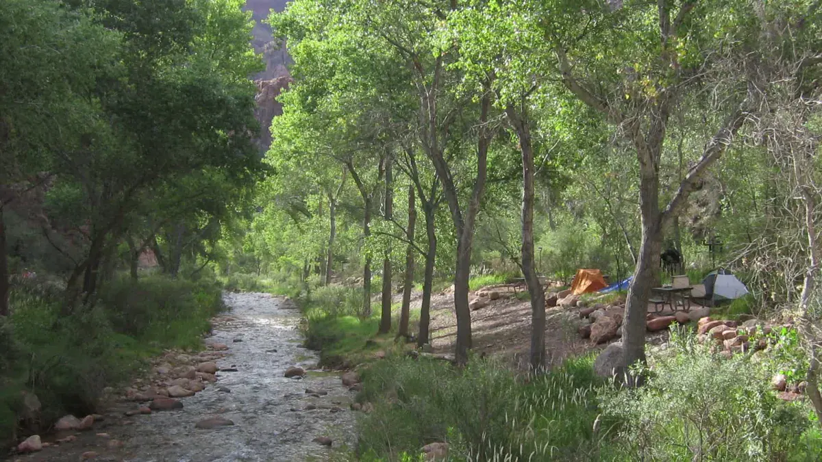 A still image of Bright Angel Campground in the Grand Canyon