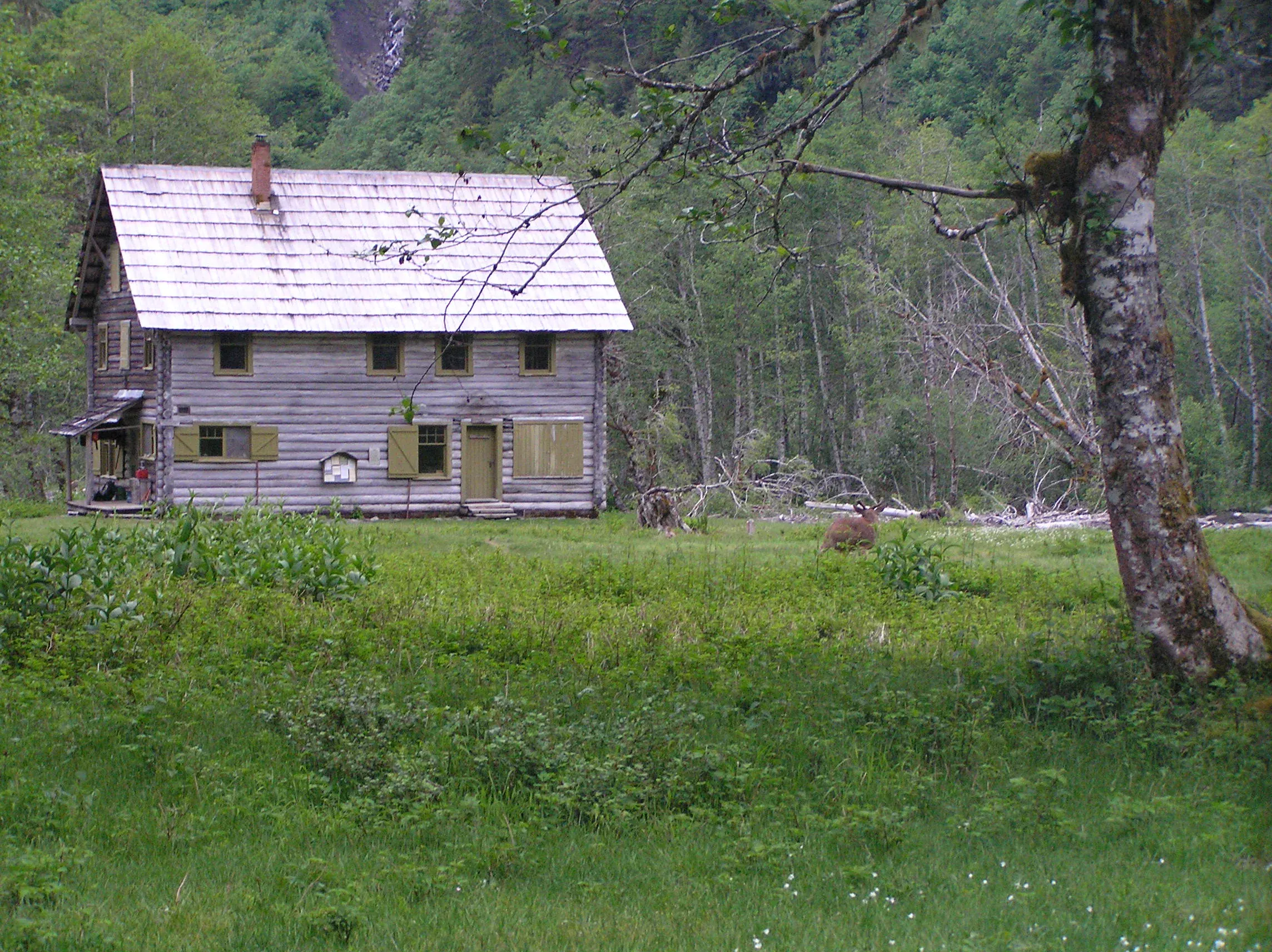 A rustic backcountry camp clearing in Enchanted Valley
