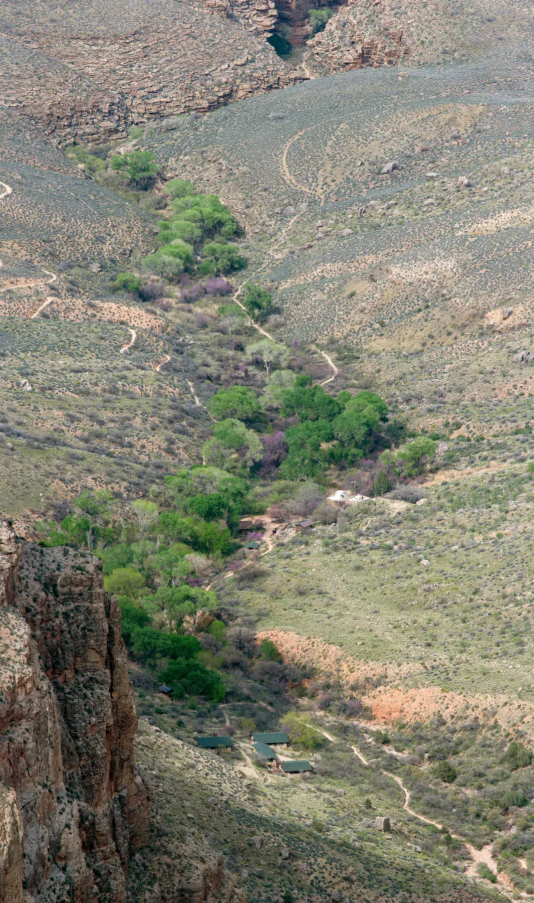 The designated campground area at Havasupai Gardens