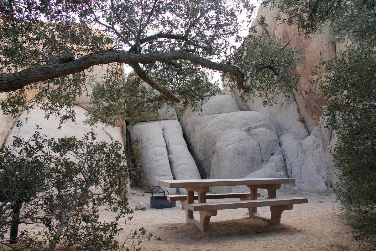 A developed campground among rounded desert boulders and Joshua trees