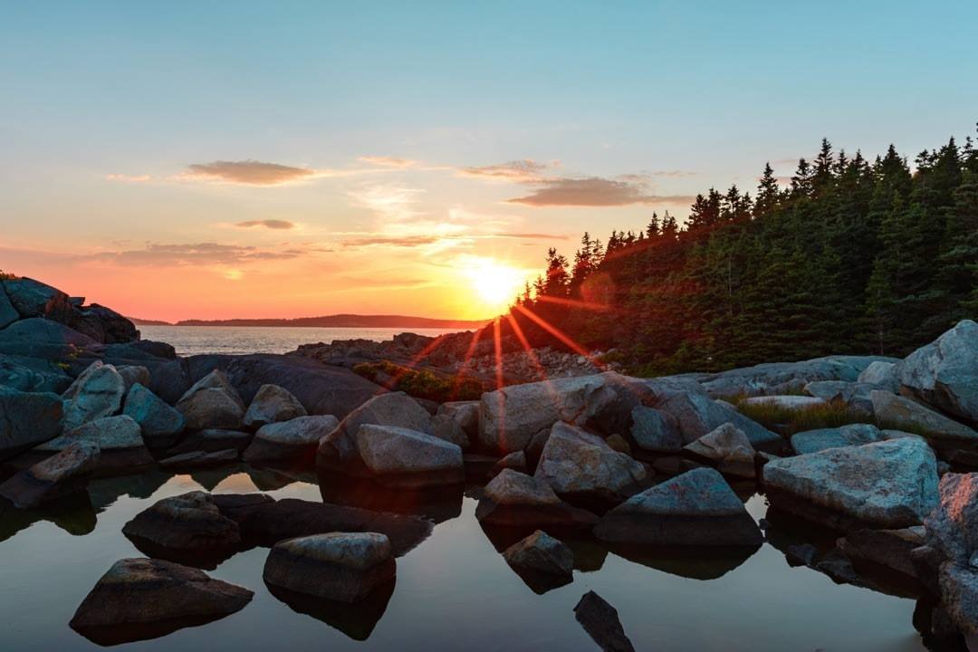 Editorial illustration of an Acadia coastal forest campground
