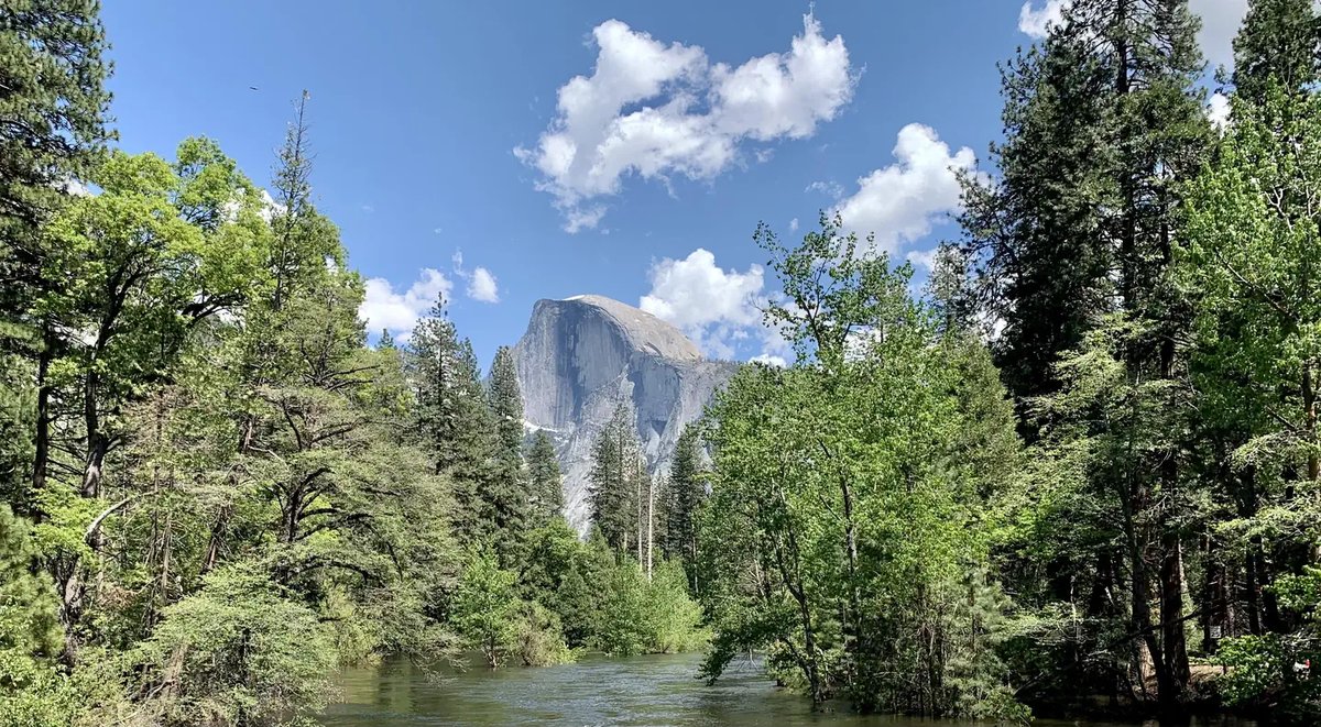 Editorial illustration of a calm Yosemite Valley campground
