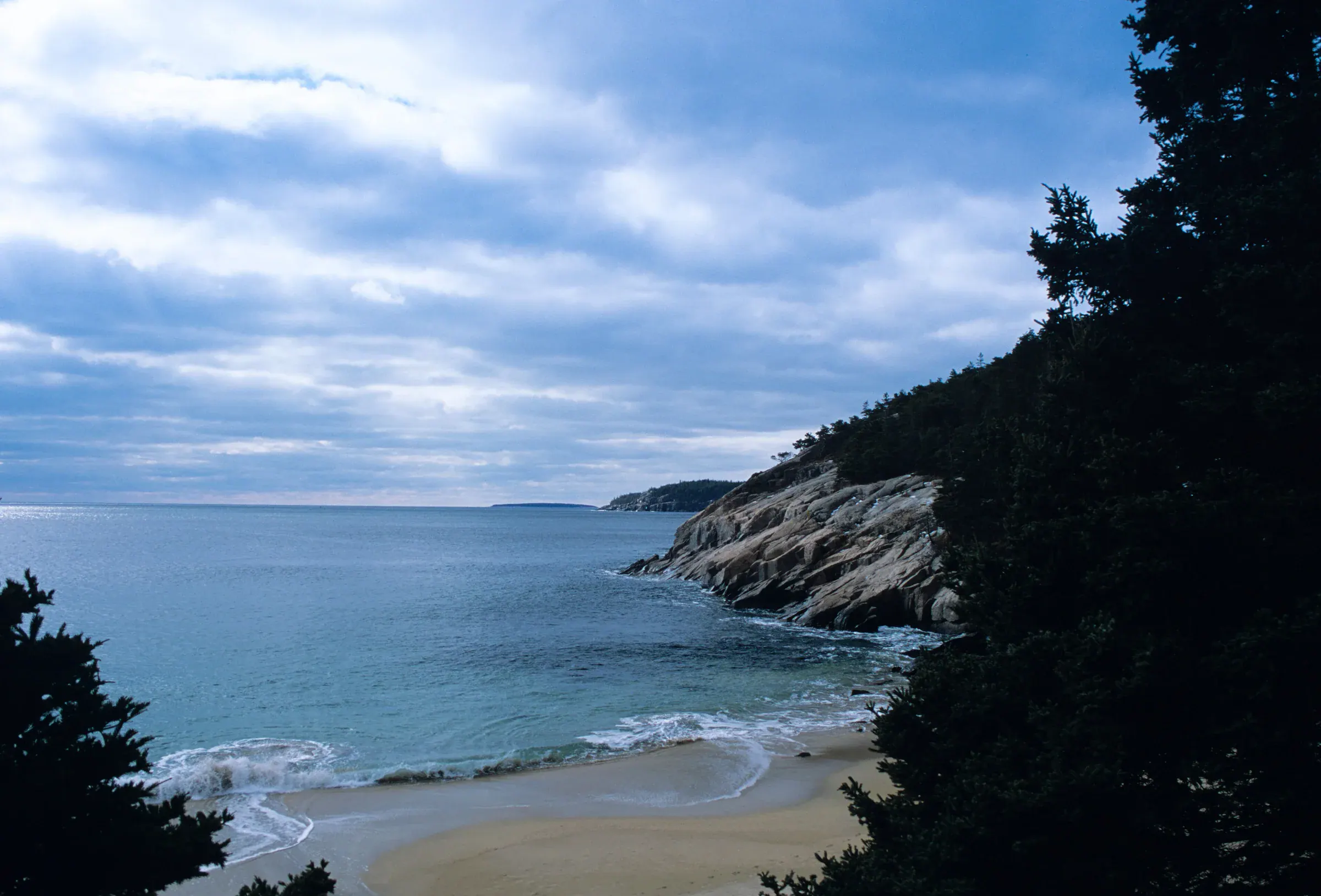 Rocky Acadia coast bordered by evergreen forest