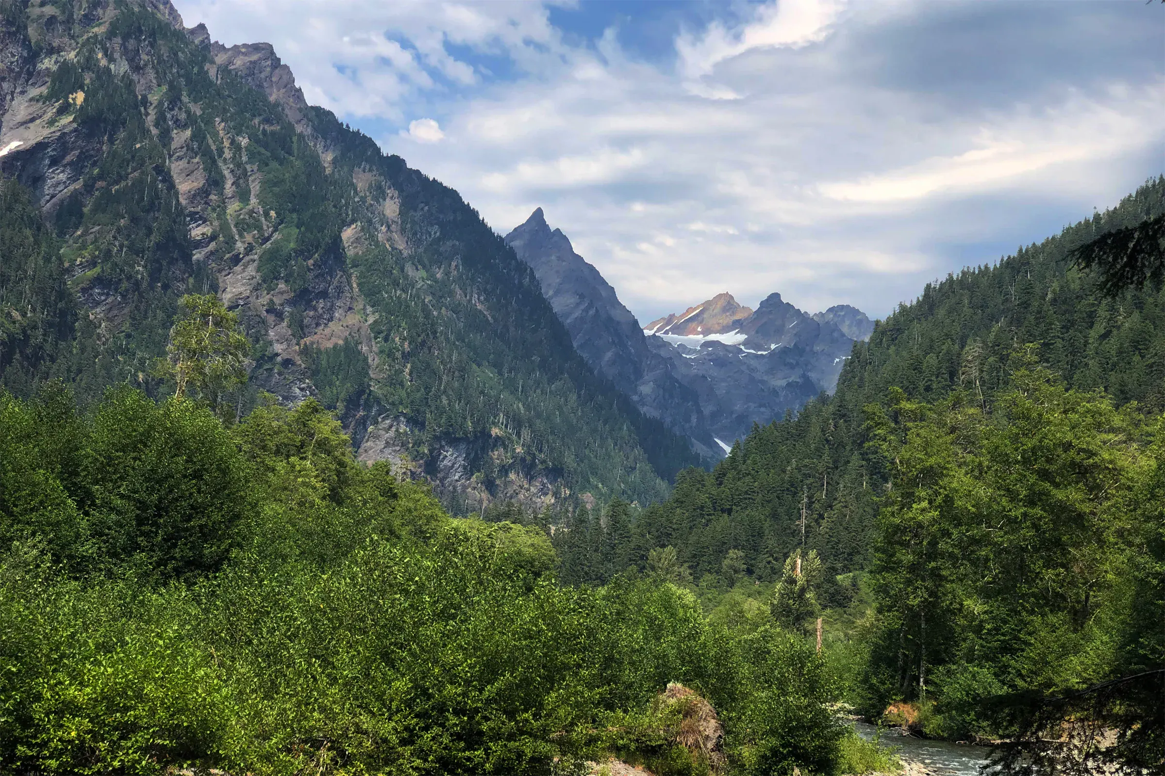 A misty mountain valley beyond the temperate rain forest